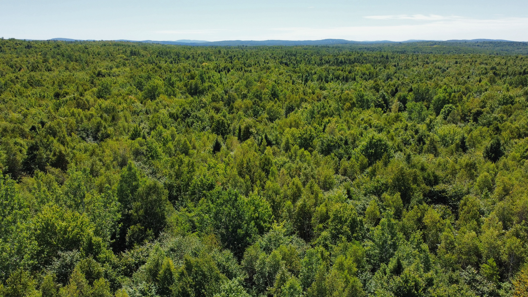 Private 25-Acre Woodlot with Trails & Recreation Access