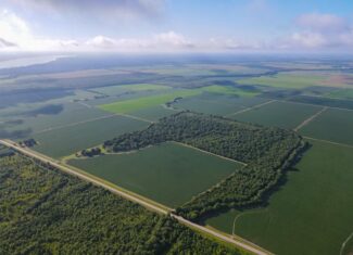 500 +/- Acres Precision Leveled and Irrigated Farmland