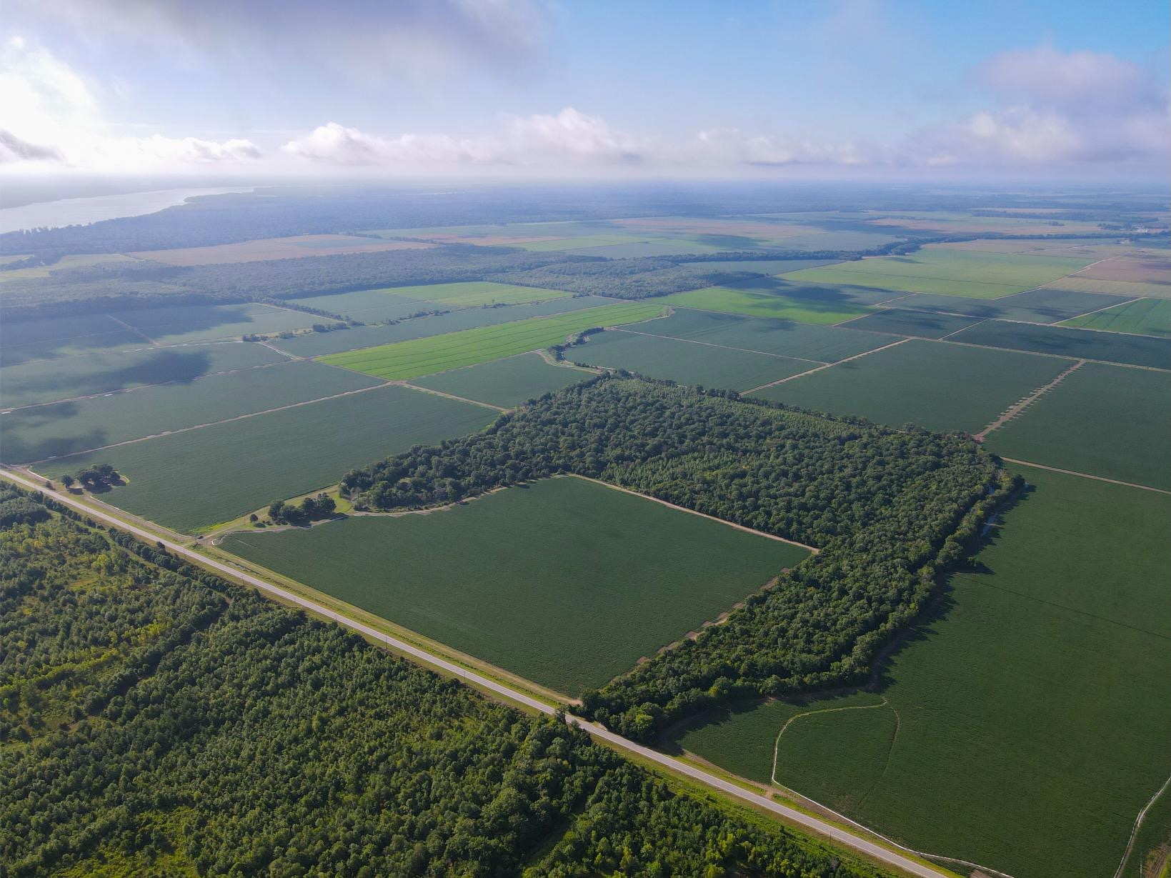 500 +/- Acres Precision Leveled and Irrigated Farmland