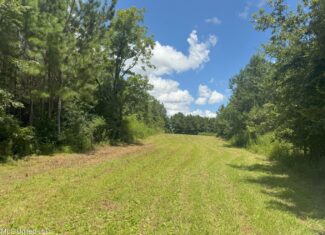 148 Acre Timberland Hunting Homesite Lincoln County, MS