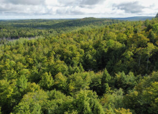 20 Acres with Katahdin Views – Springfield, Maine