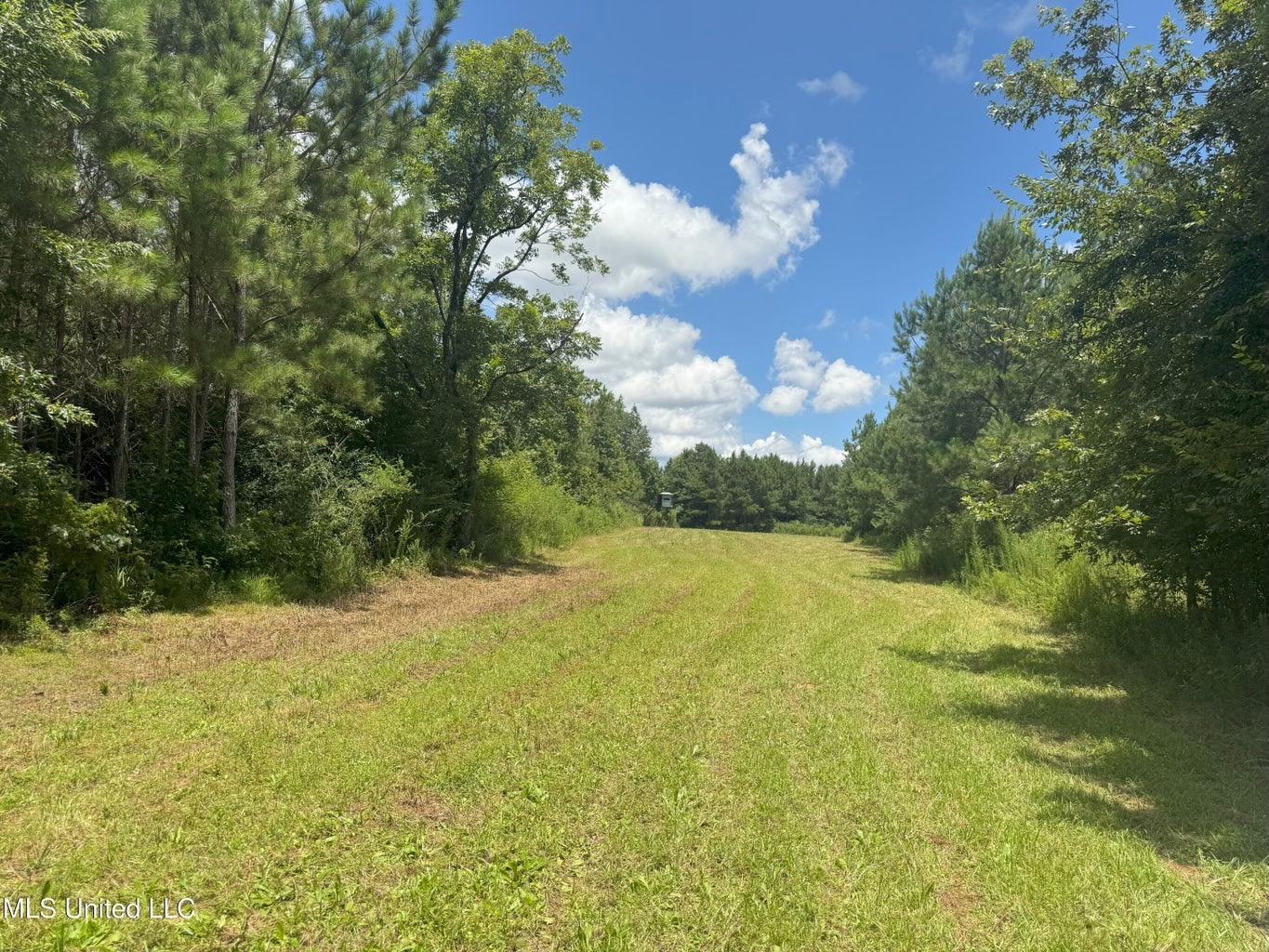 148 Acre Timberland Hunting Homesite Lincoln County, MS