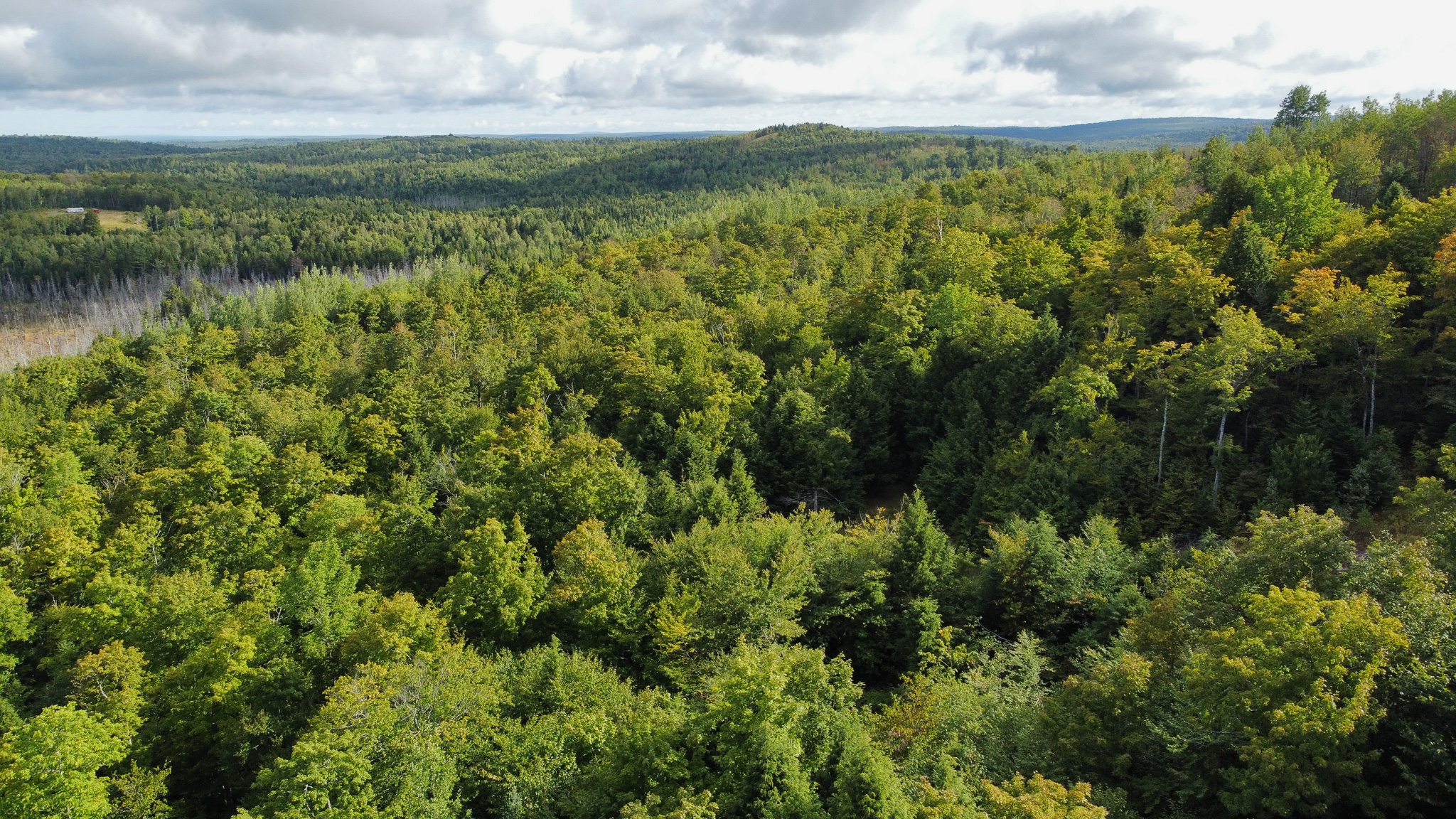 20 Acres with Katahdin Views – Springfield, Maine