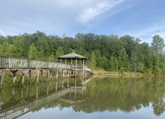 LAND FOR SALE IN TN WITH 2 LARGE PONDS NEAR PICKWICK LAKE