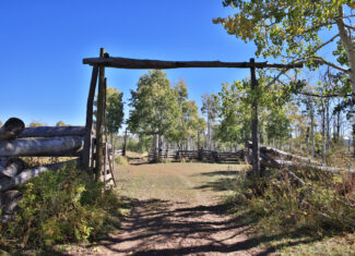 Western Colorado Ranch with Cabins, Ponds, Springs For Sale
