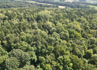 Secluded Central Ohio Hunting and Timber Land
