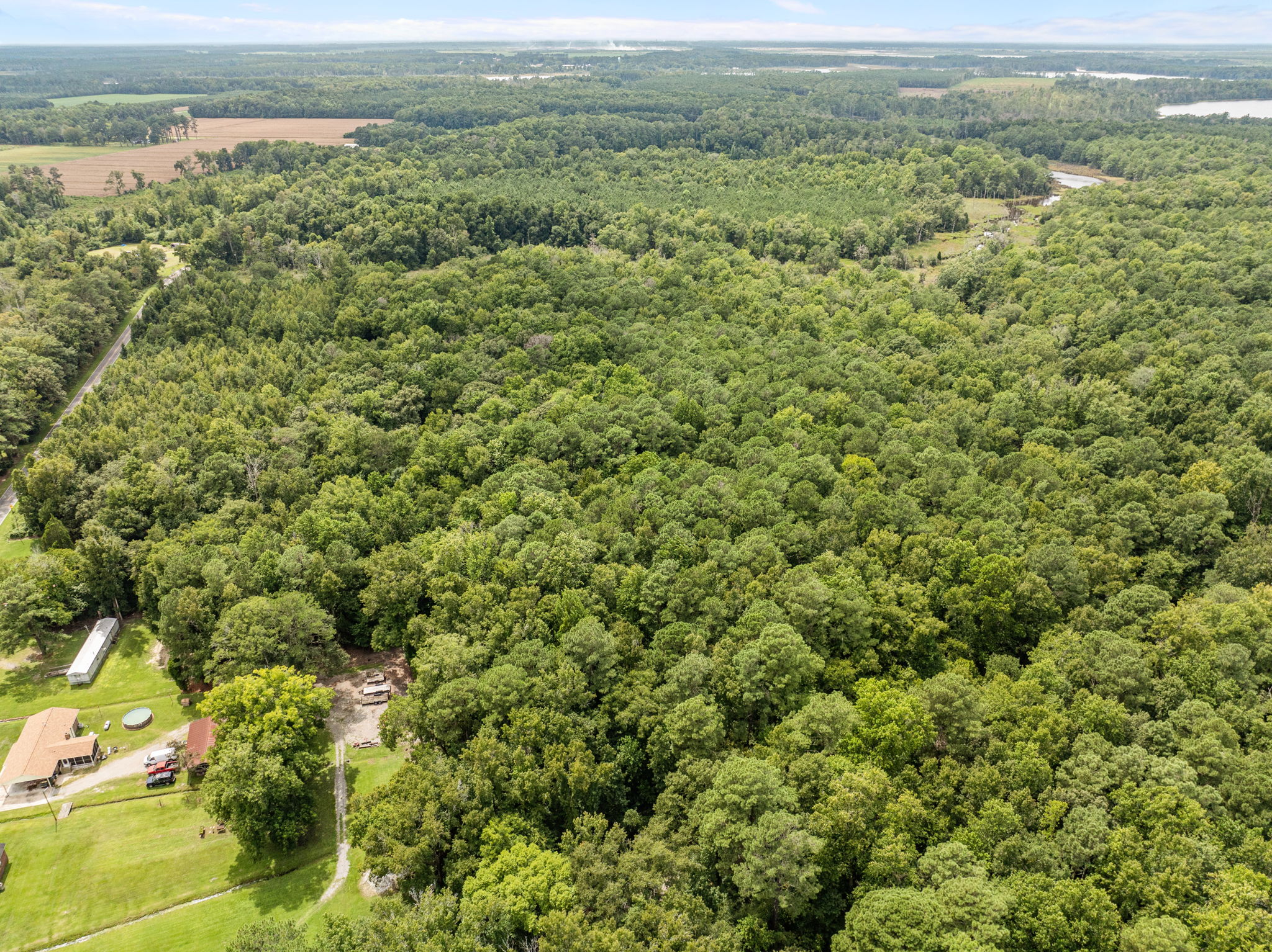 17 Acres Hunting Land with Timber for Sale in Aurora, NC