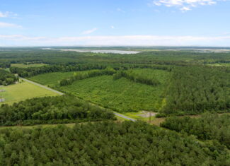 305 Acres Farmland & Timber with Hunting in NC