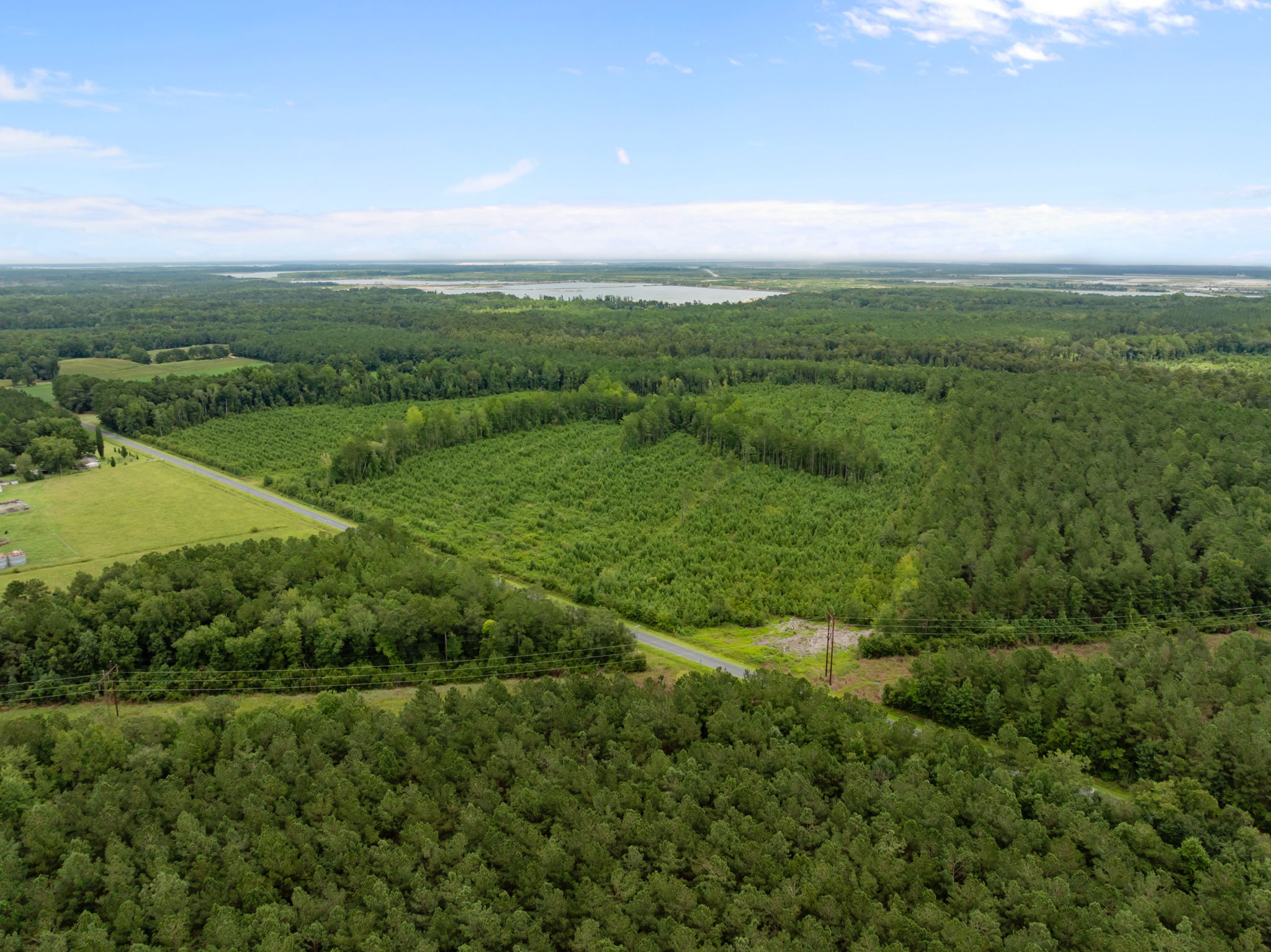 305 Acres Farmland & Timber with Hunting in NC