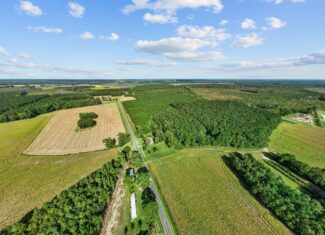 470-AC Prime Hunting Land for Sale in Pitt County, NC