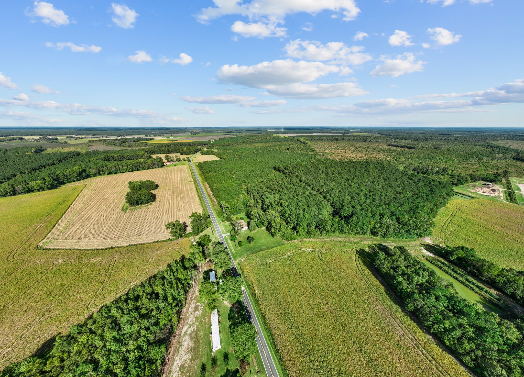470-AC Prime Hunting Land for Sale in Pitt County, NC