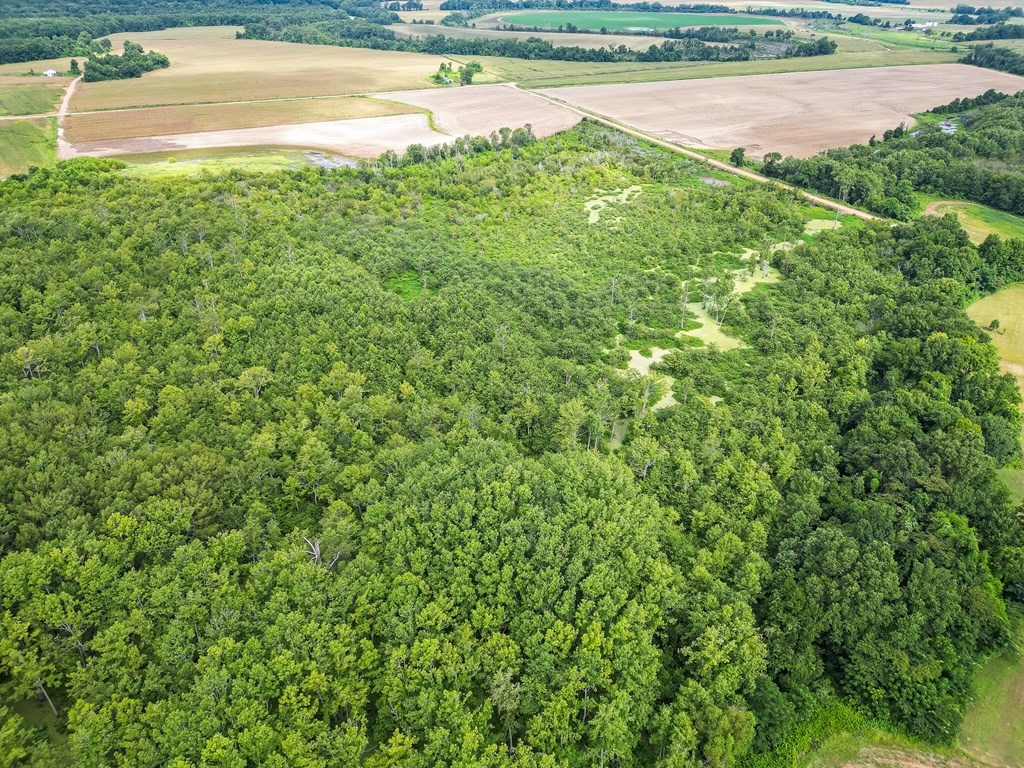 Tchula MS Delta 97 Acres