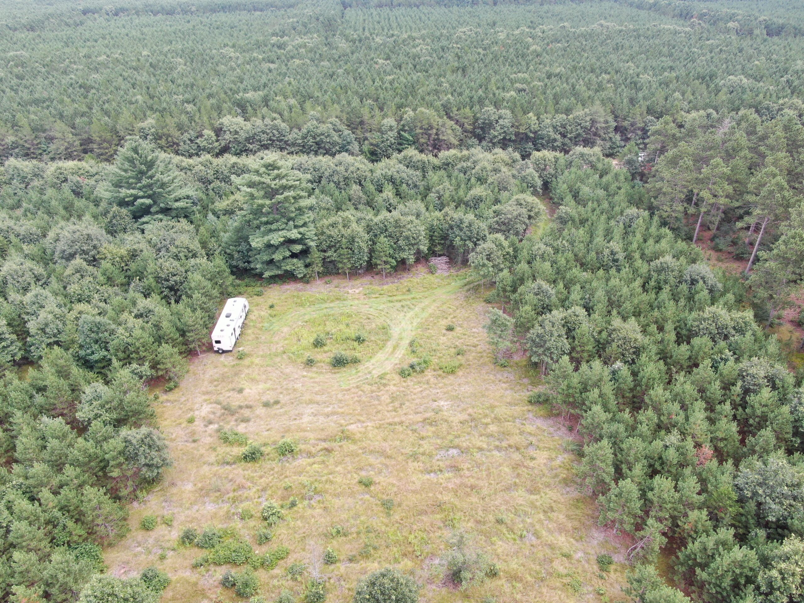 22.35+/- Wooded Acres in Adams County’s Town of Big Flats