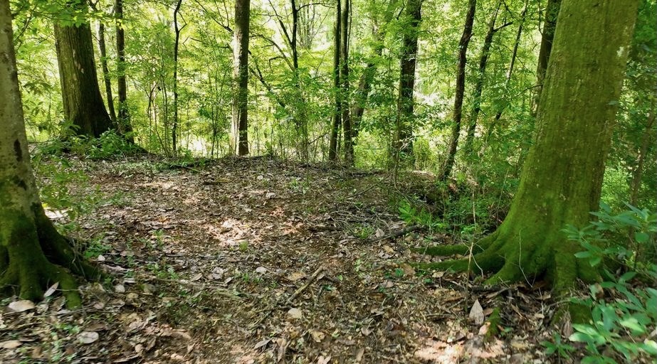 345+- Acres on Bogue Chitto River Summit MS
