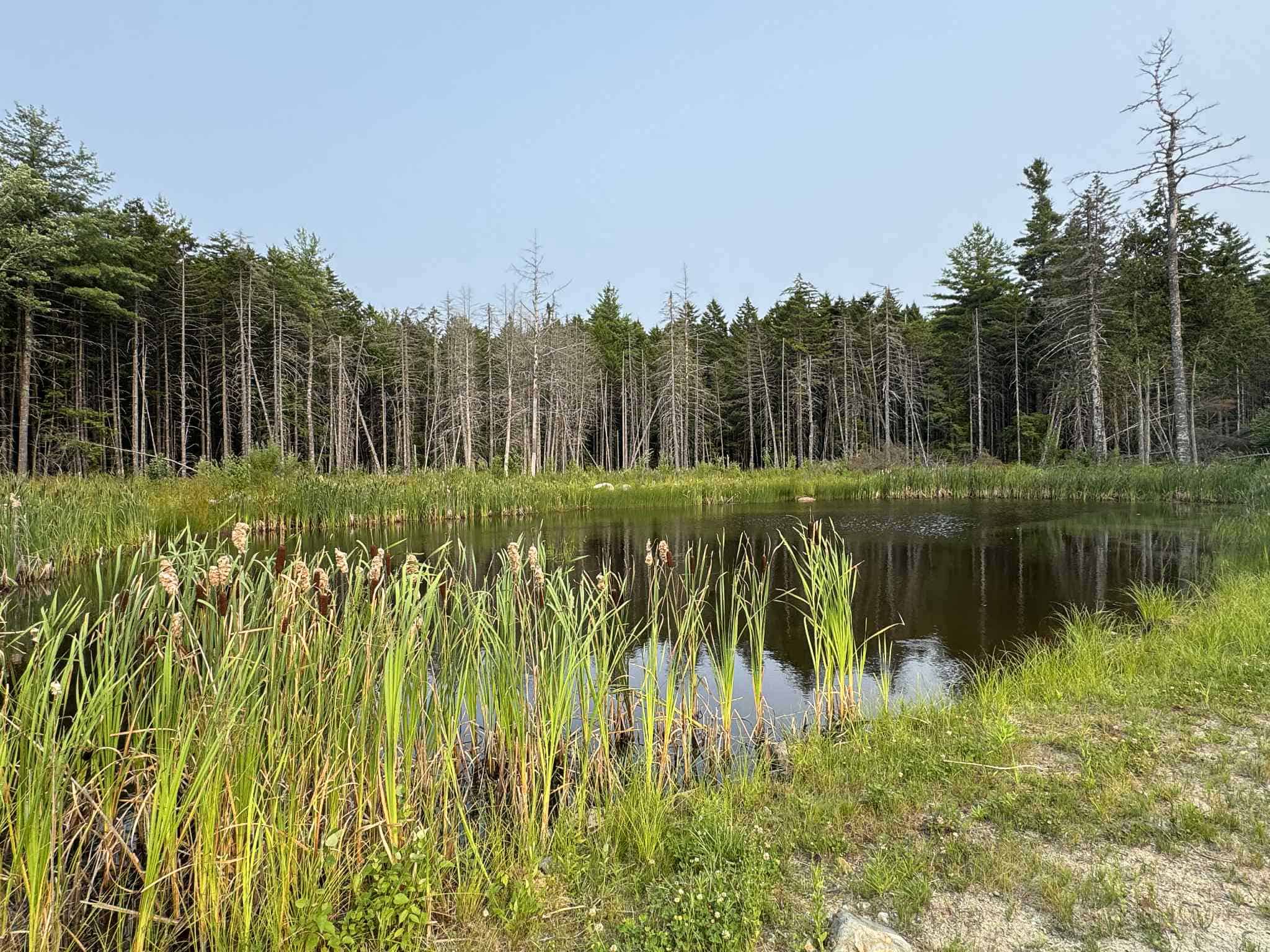 Nicely Built Chalet Style Home – Wesley, Maine