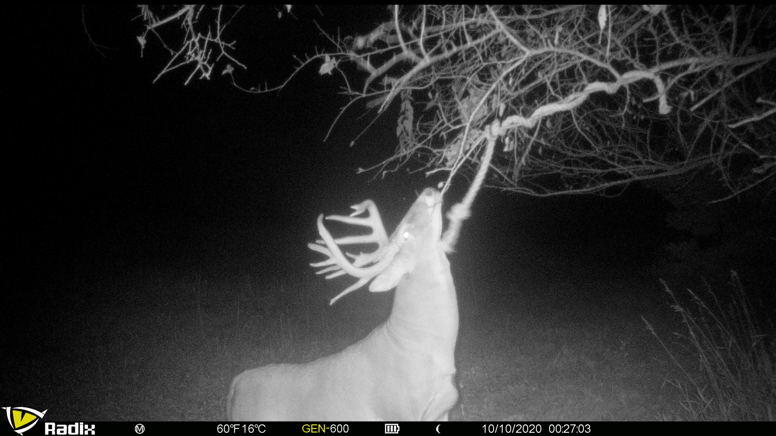 The Perfect 160 in Franklin County Kansas