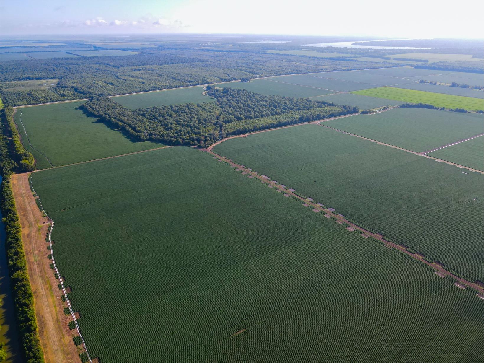 500 +/- Acres Precision Leveled and Irrigated Farmland