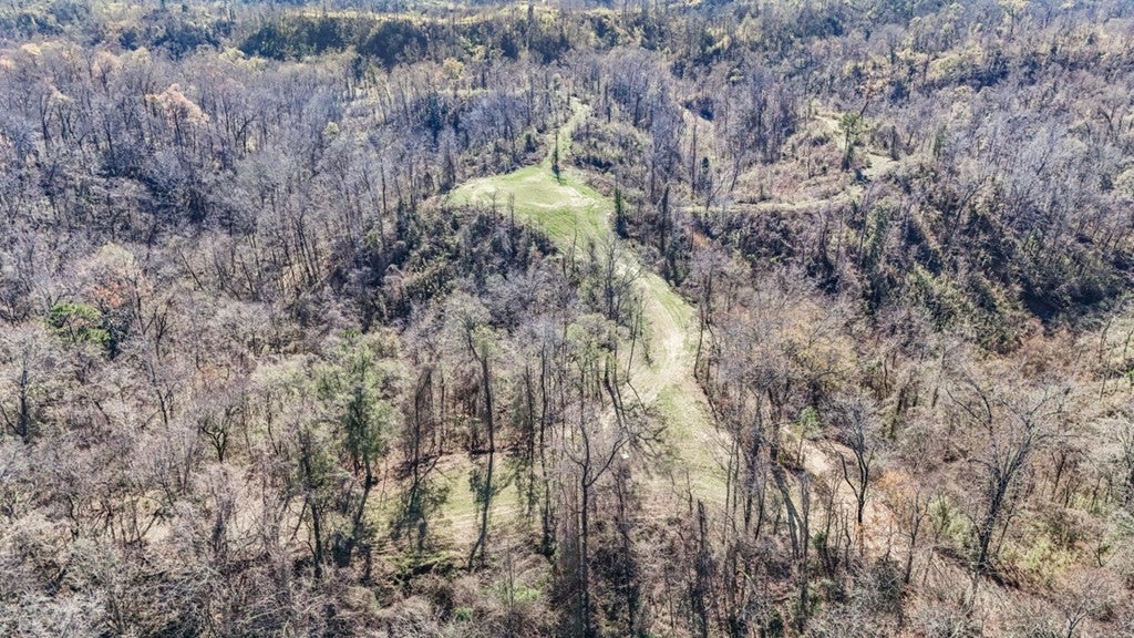 Rodney MS Hunting Land with Tiny Home & Lodge Potential