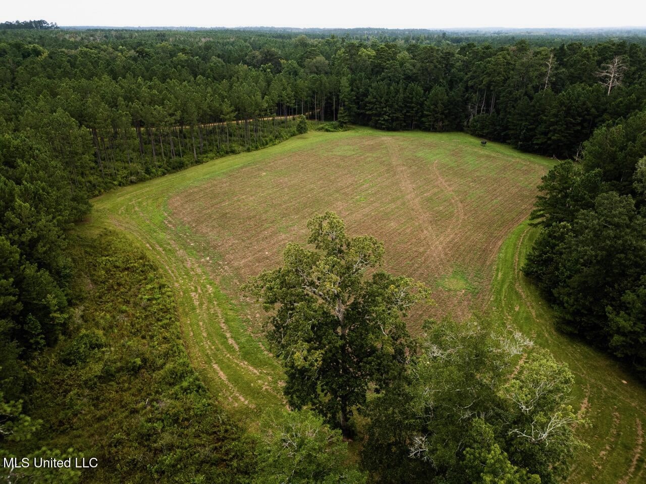 Petit Amite – Luxury Hunting Retreat in Amite County, MS