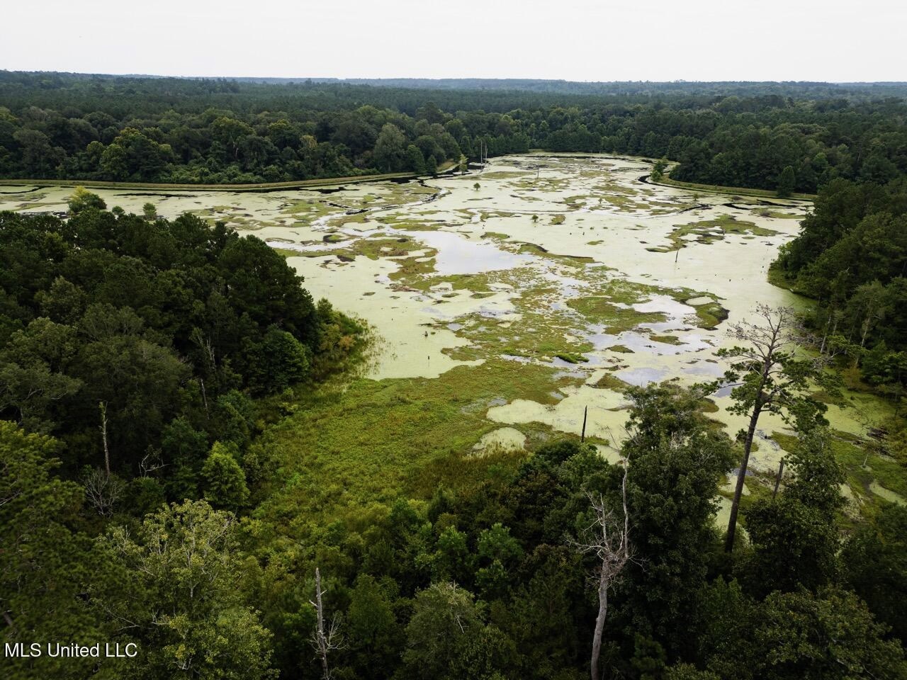 Petit Amite – Luxury Hunting Retreat in Amite County, MS