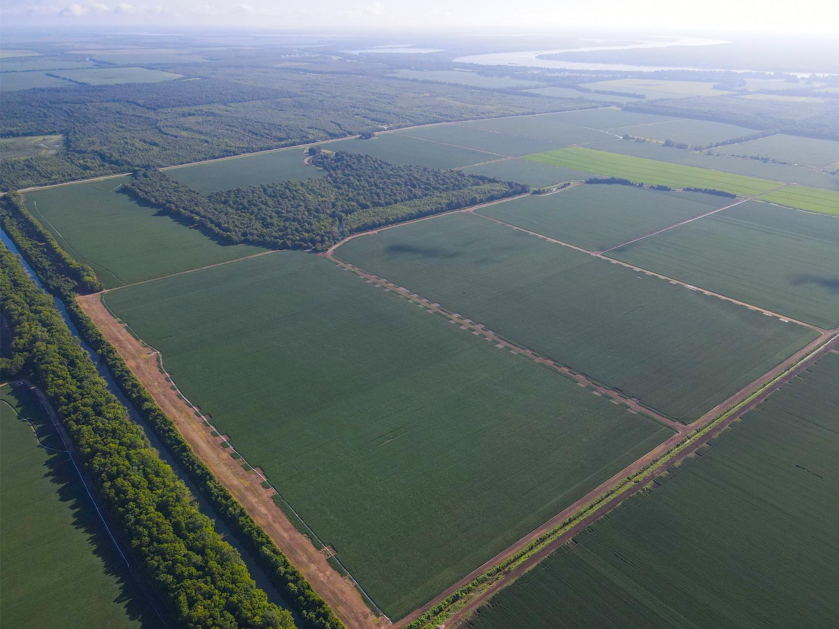 500 +/- Acres Precision Leveled and Irrigated Farmland