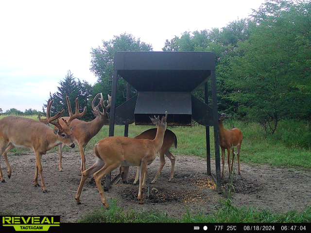 The Perfect 160 in Franklin County Kansas