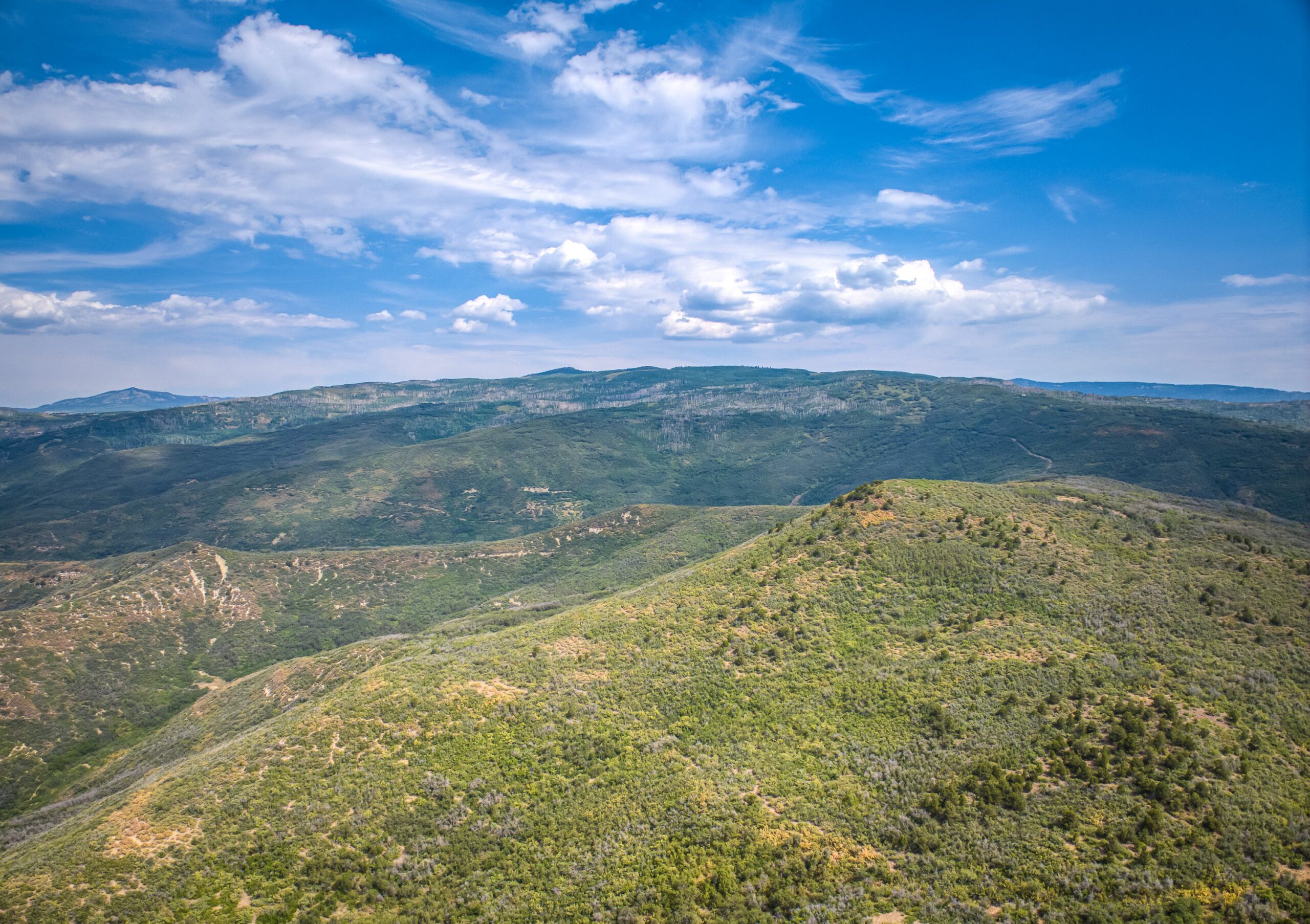 Whiskey Jug Ranch 465 Acre CO Hunting And Recreation Property With Cabin