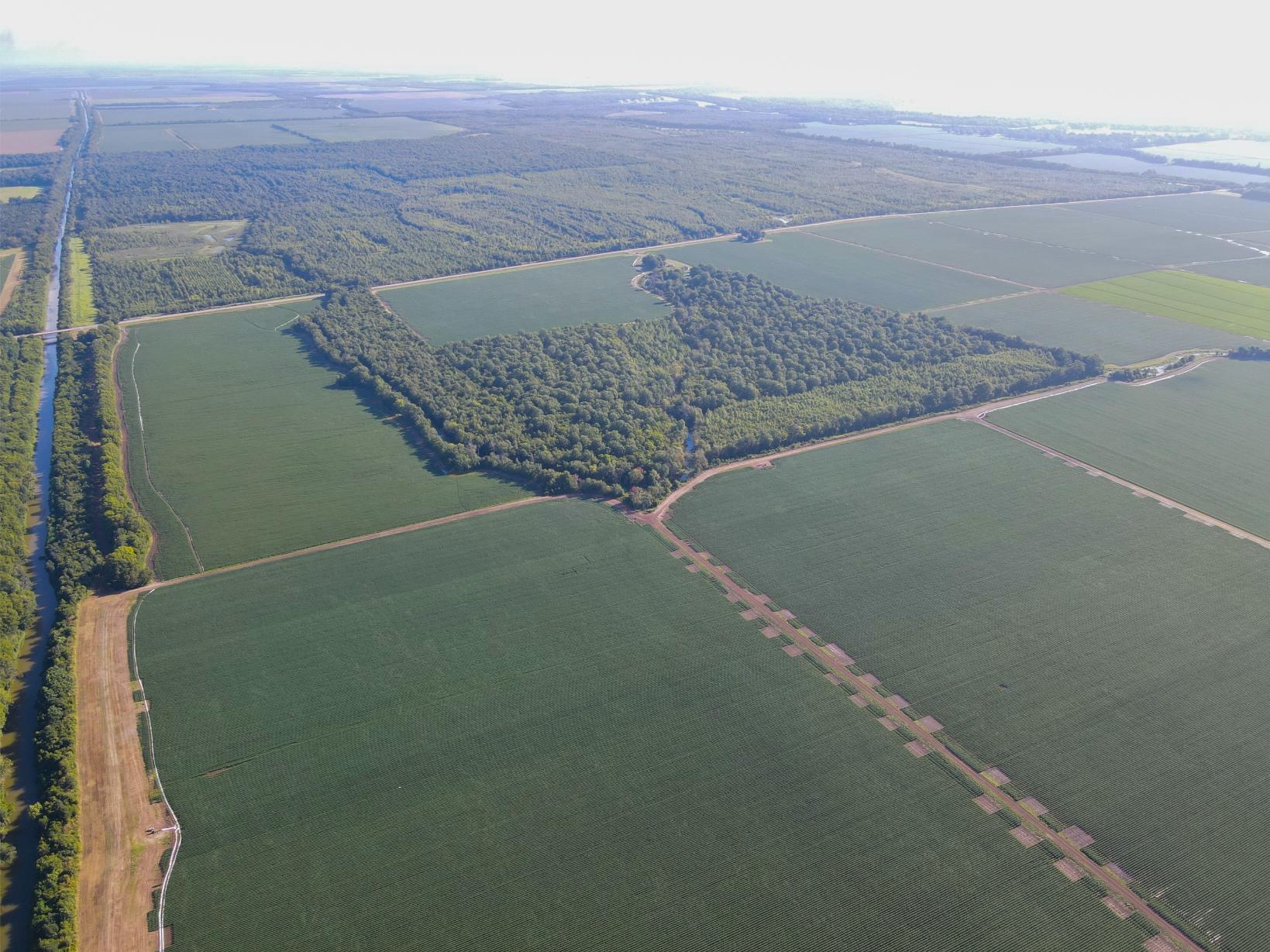 500 +/- Acres Precision Leveled and Irrigated Farmland