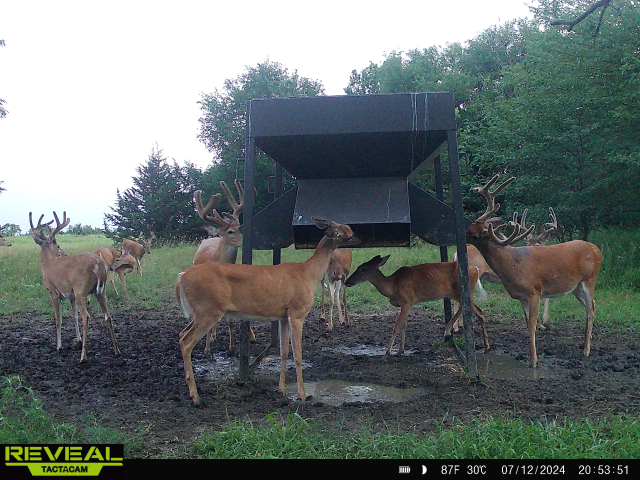 The Perfect 160 in Franklin County Kansas