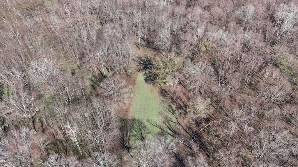 Rodney MS Hunting Land with Tiny Home & Lodge Potential