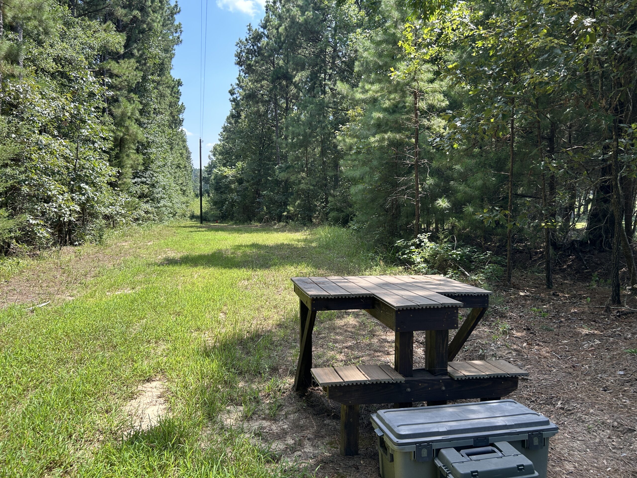 Fort Piney Woods