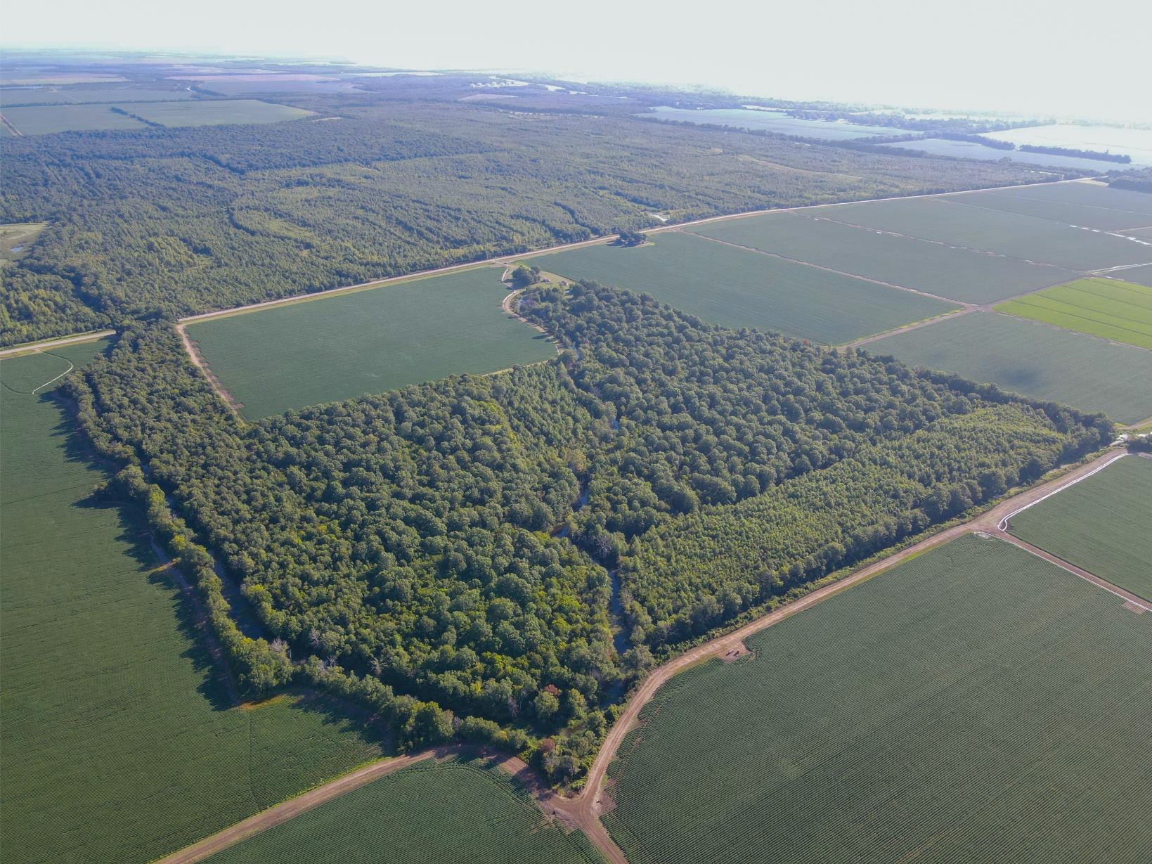 500 +/- Acres Precision Leveled and Irrigated Farmland
