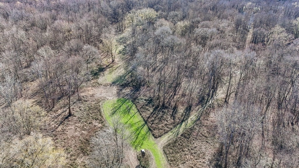 Rodney MS Hunting Land with Tiny Home & Lodge Potential