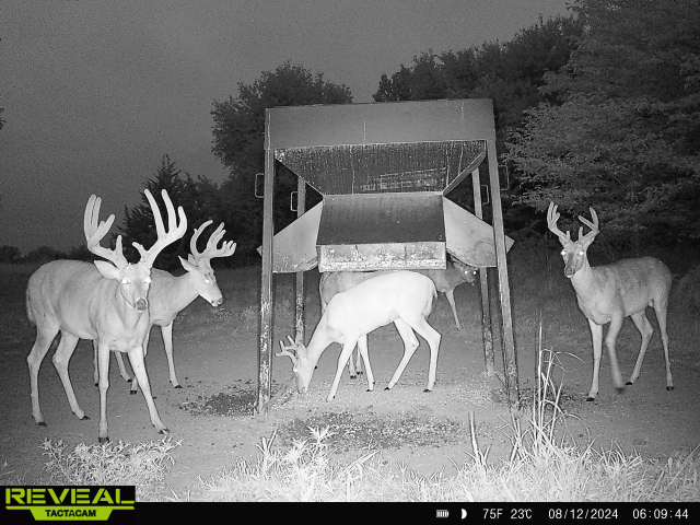 The Perfect 160 in Franklin County Kansas