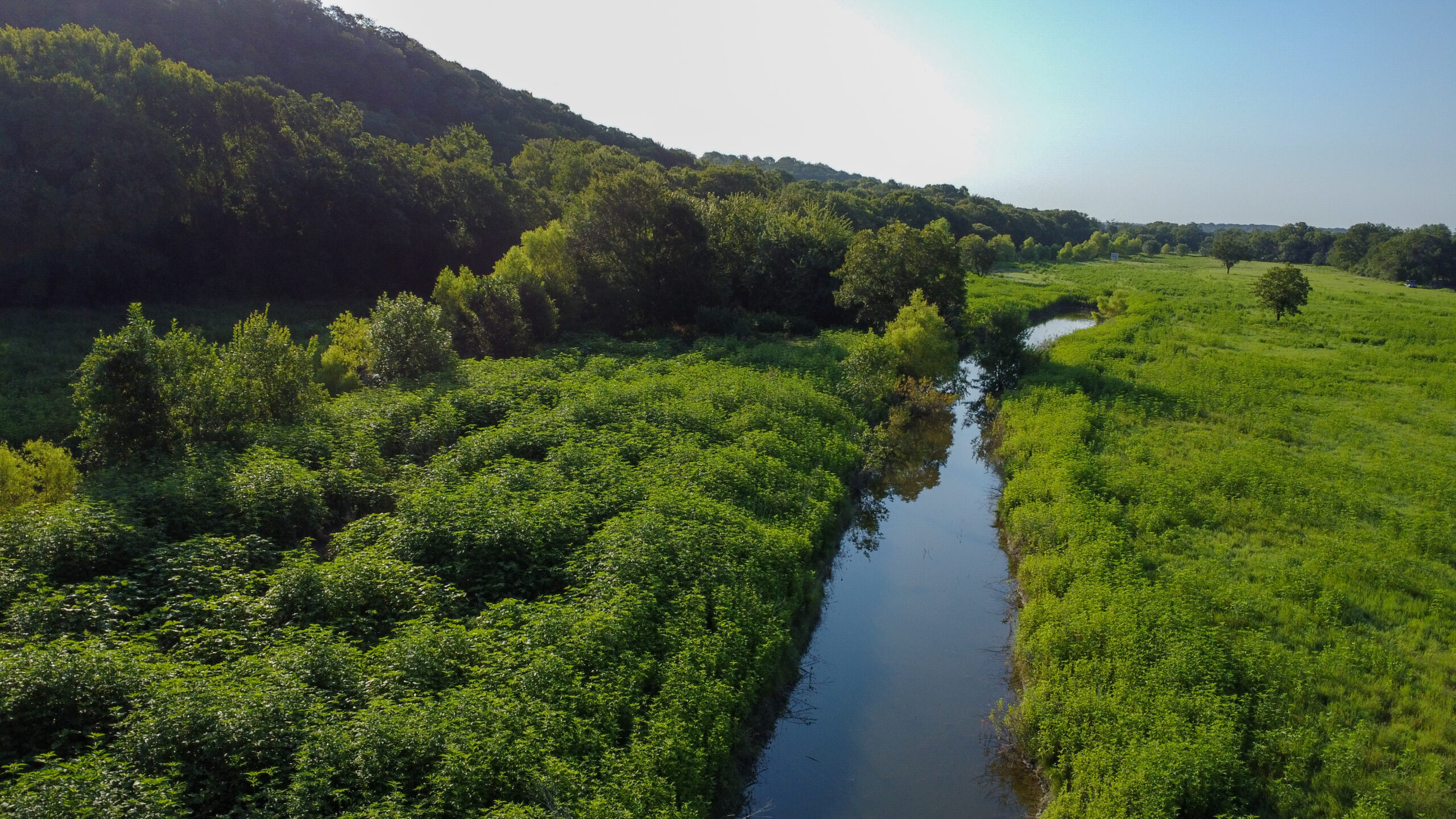 23.866 Acres of Riverfront Land for Sale in Coryell County, Texas