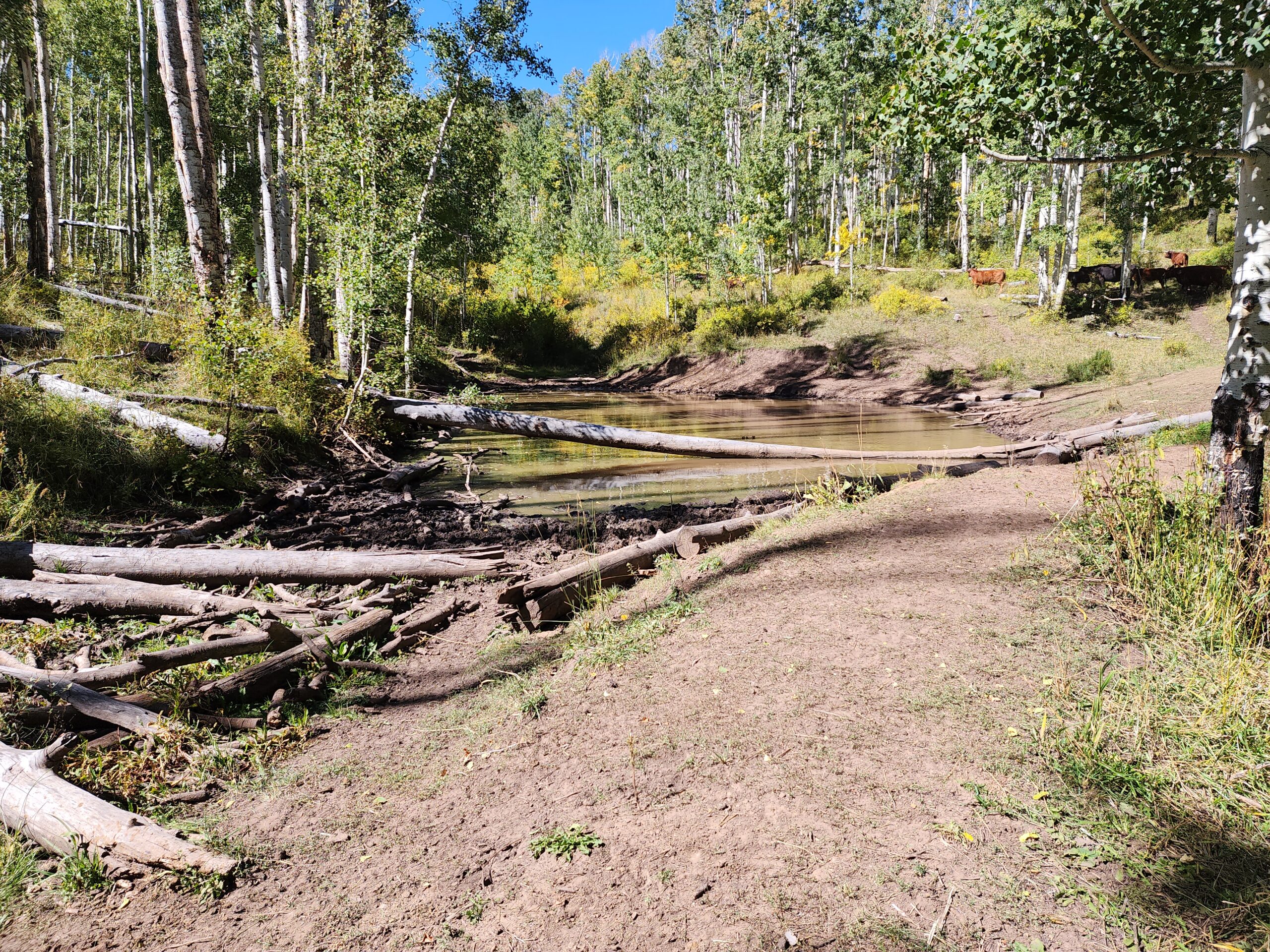 Western Colorado Ranch with Cabins, Ponds, Springs For Sale