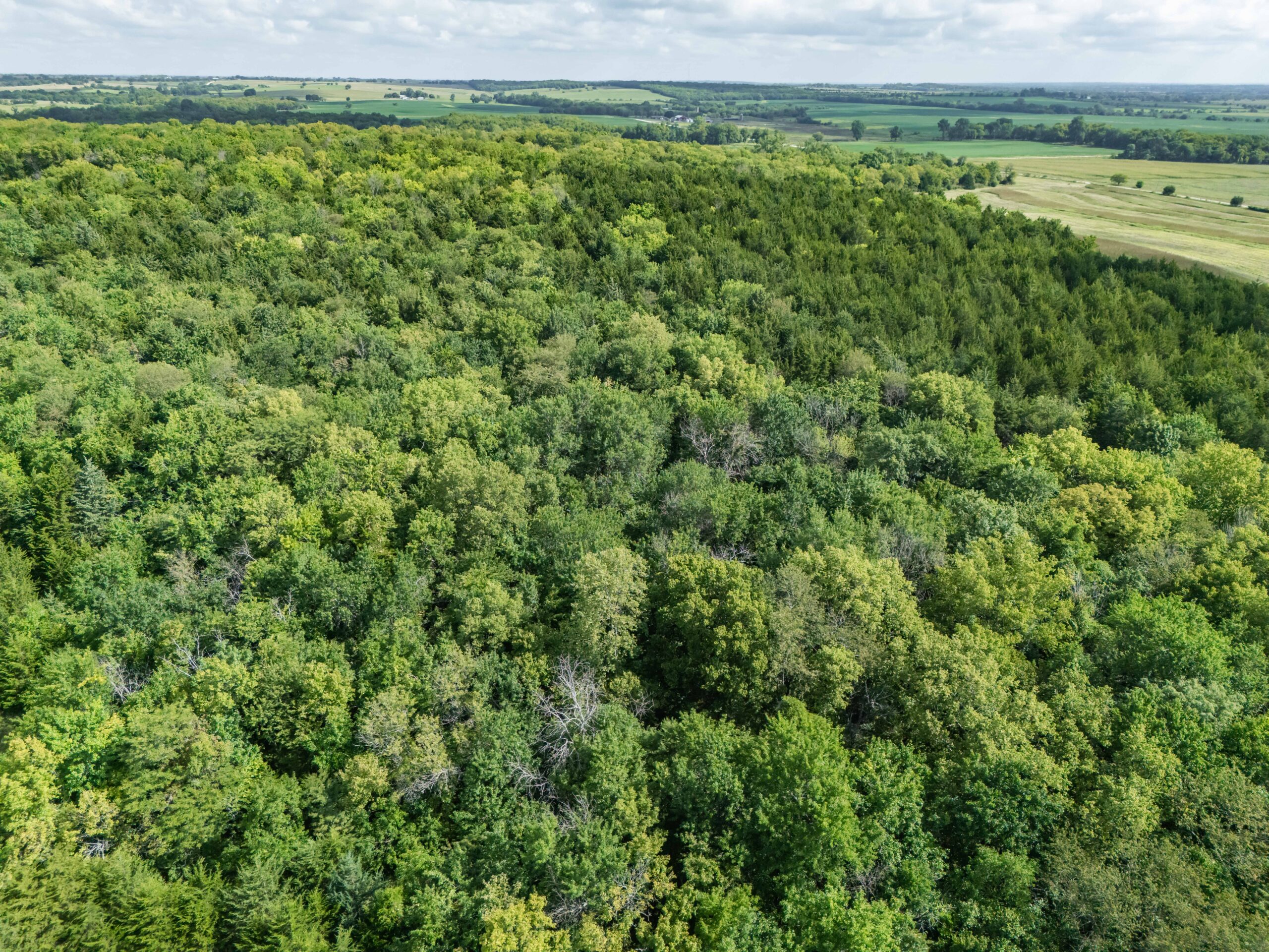The Perfect 160 in Franklin County Kansas