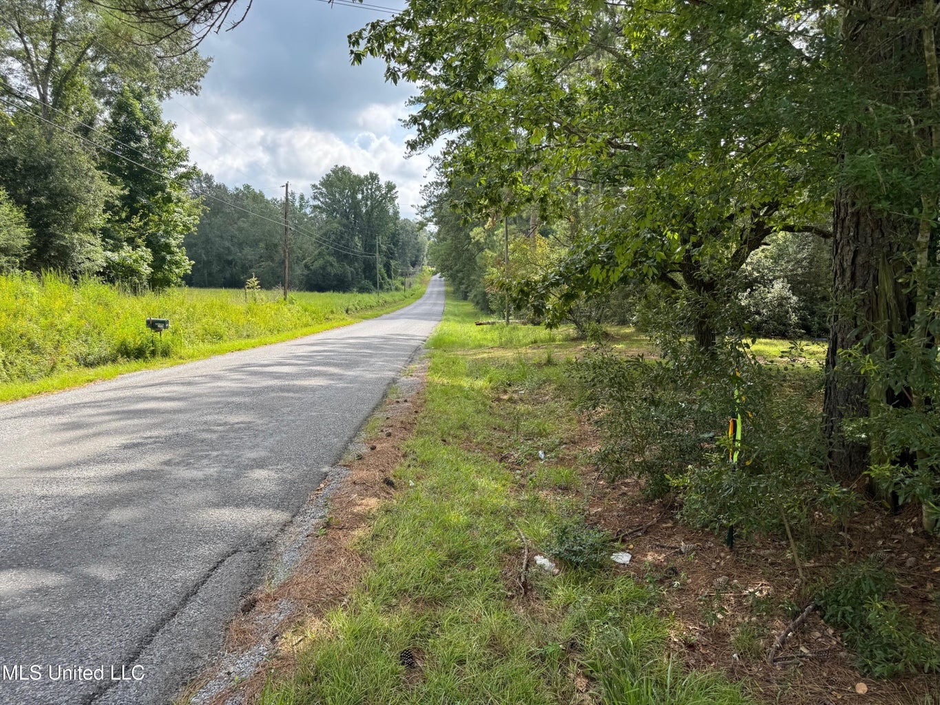 38 acres in Mississippi Near Louisiana State Line