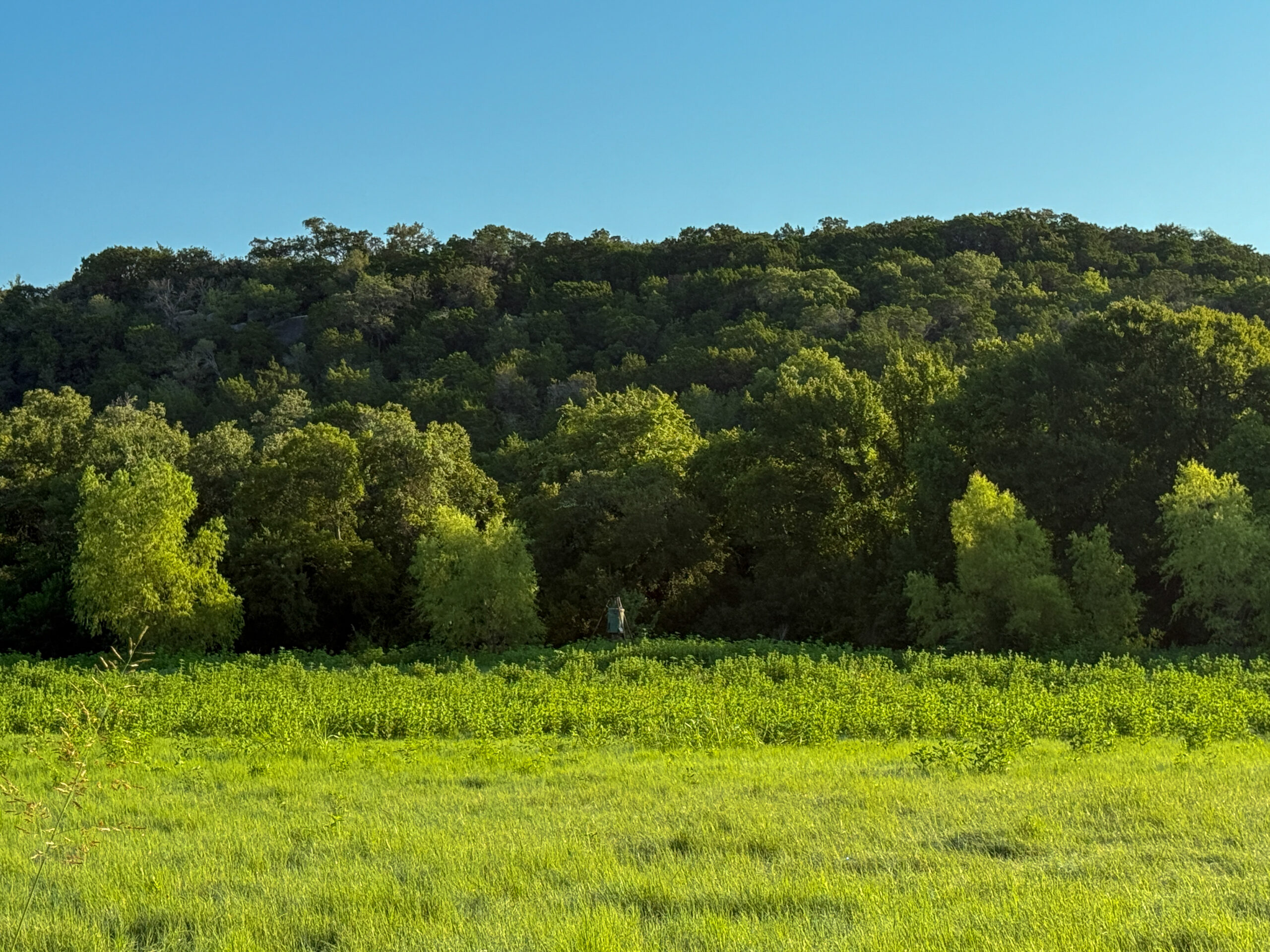 23.866 Acres of Riverfront Land for Sale in Coryell County, Texas