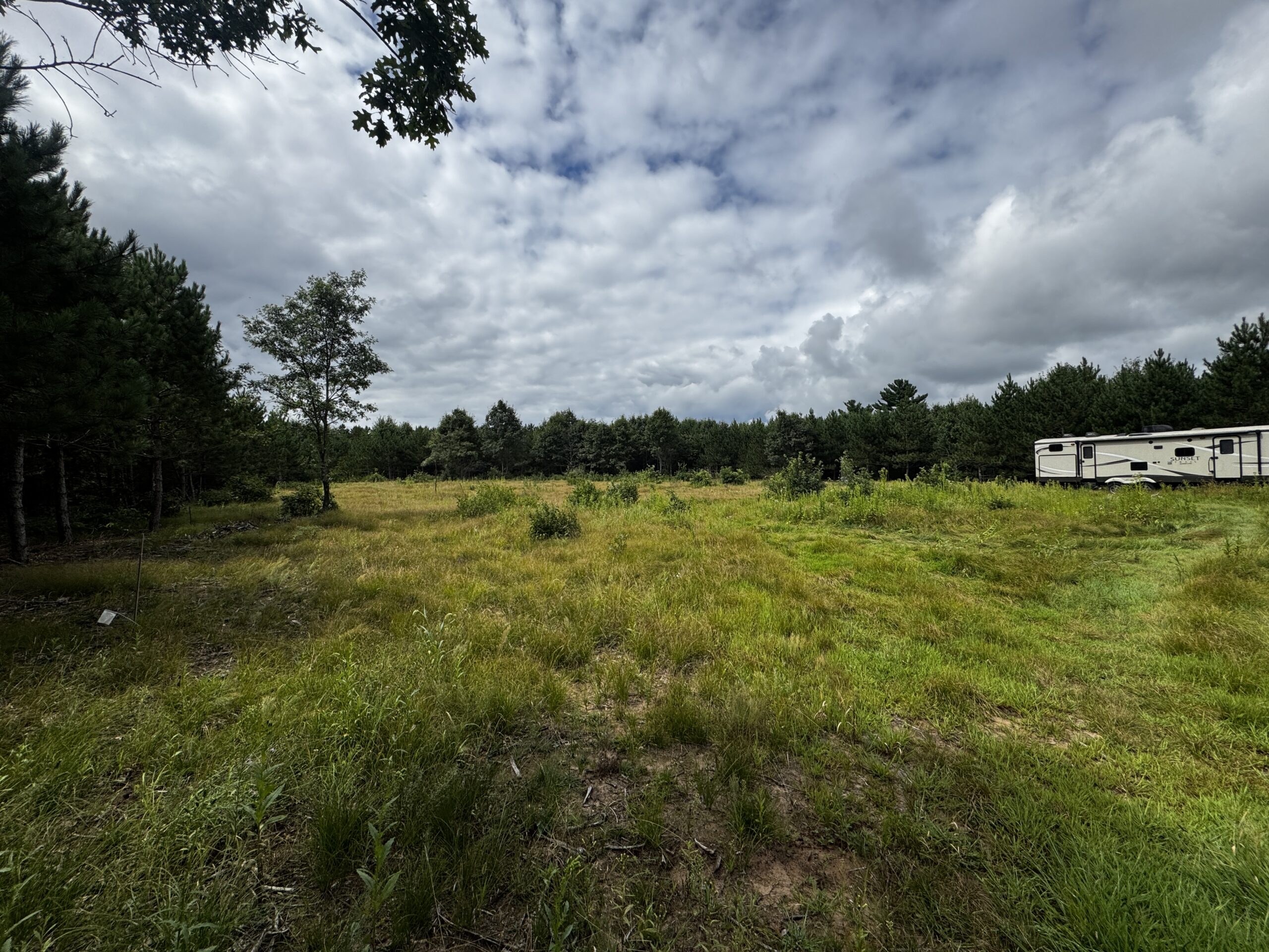 22.35+/- Wooded Acres in Adams County’s Town of Big Flats