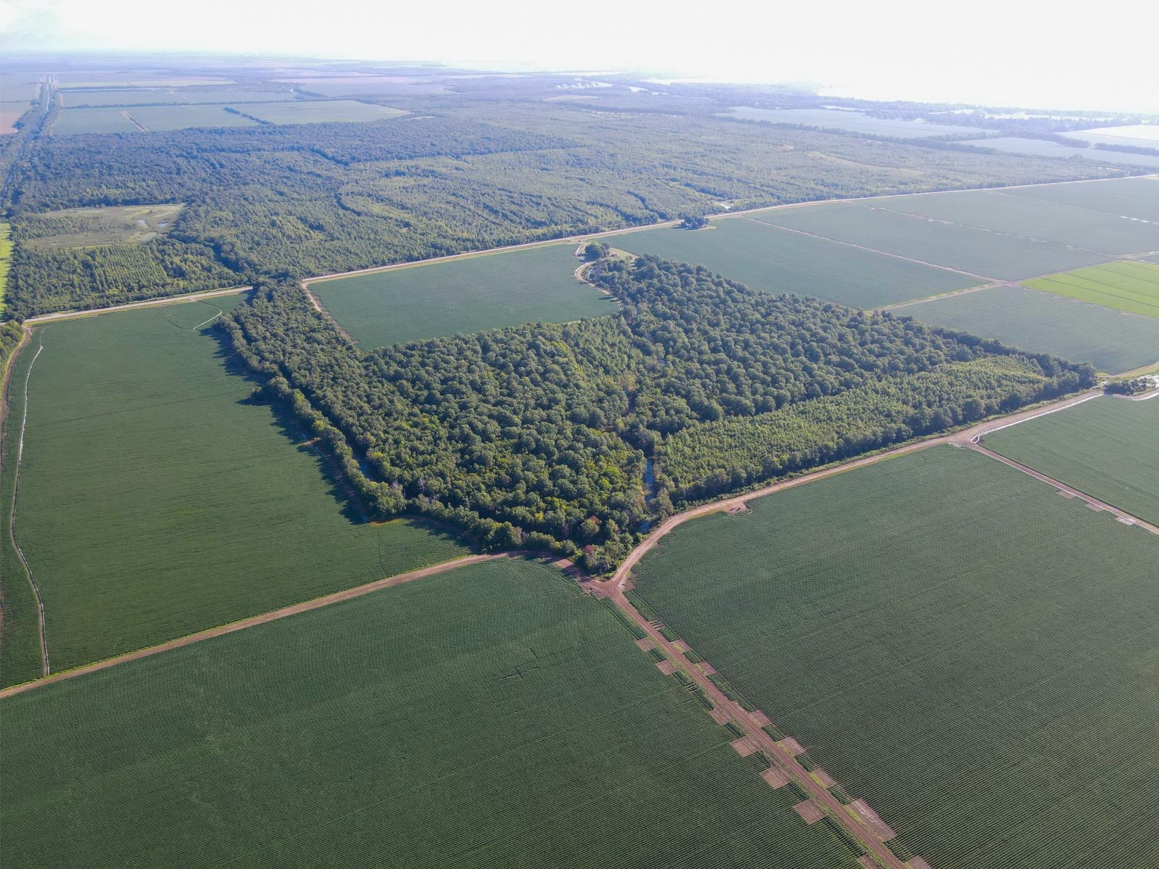 500 +/- Acres Precision Leveled and Irrigated Farmland