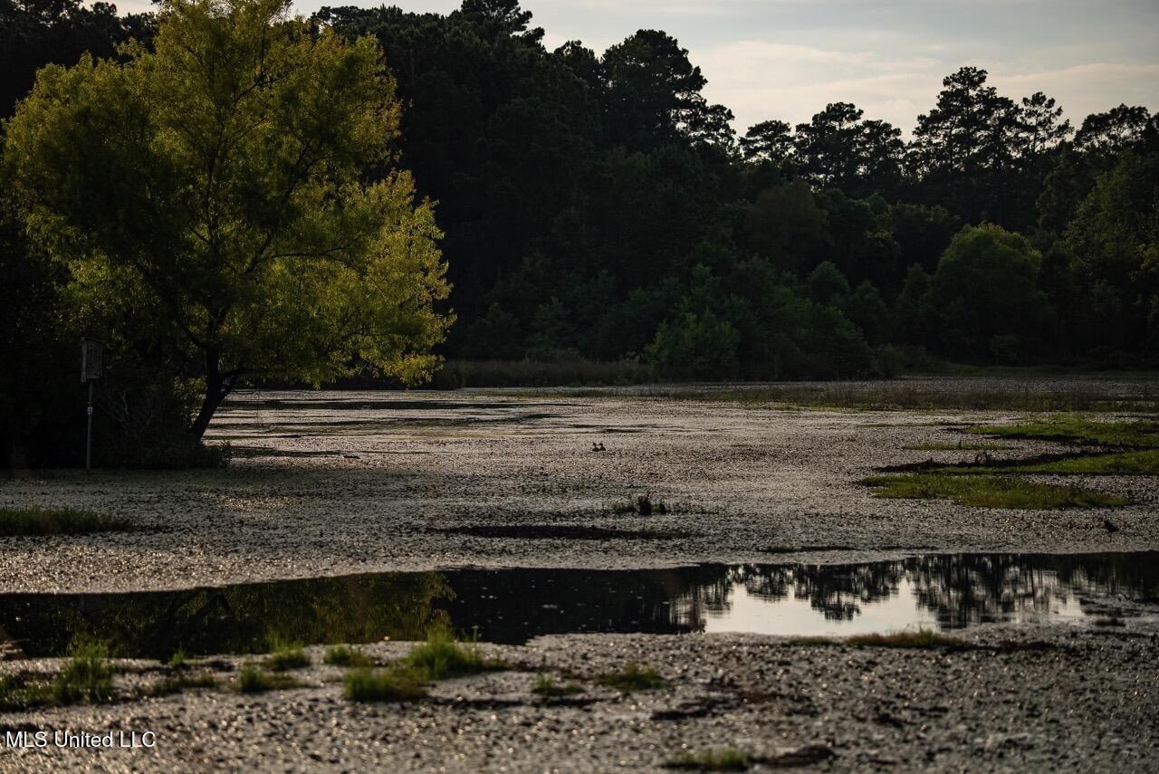 Petit Amite – Luxury Hunting Retreat in Amite County, MS