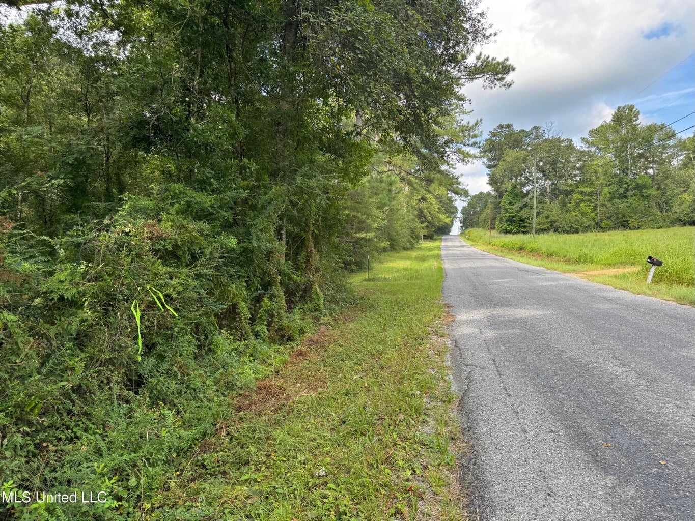 38 acres in Mississippi Near Louisiana State Line