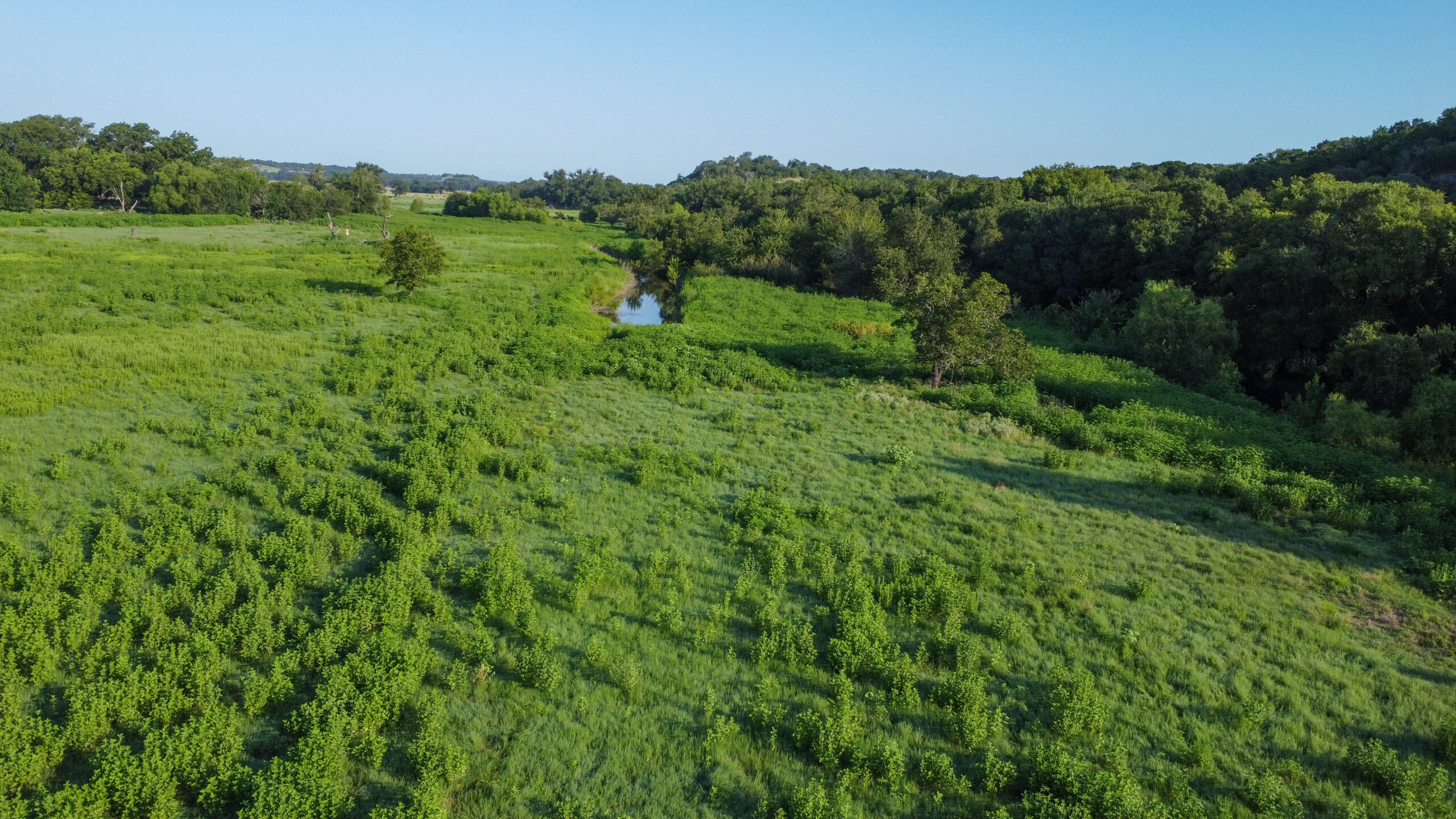 23.866 Acres of Riverfront Land for Sale in Coryell County, Texas