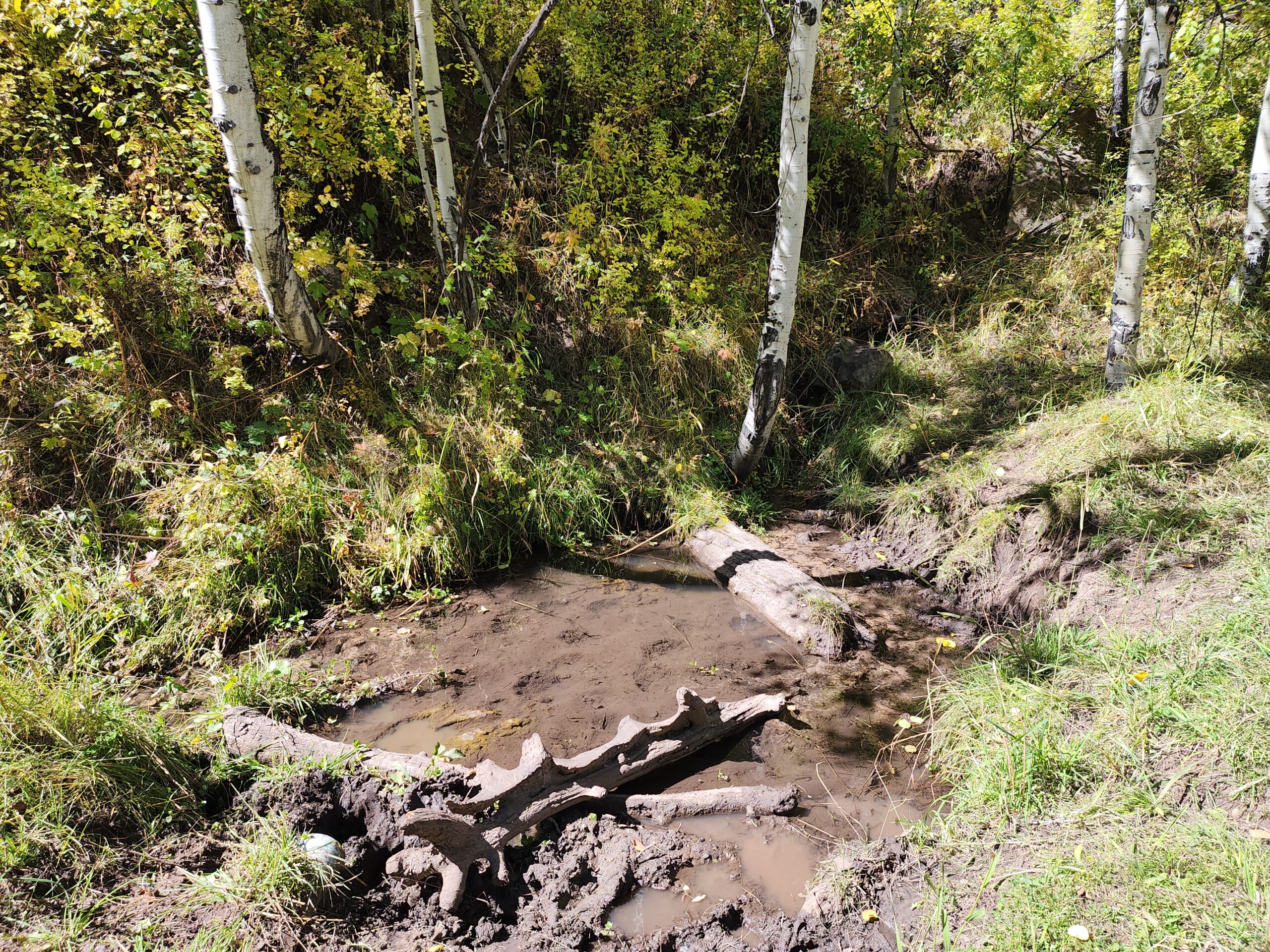 Western Colorado Ranch with Cabins, Ponds, Springs For Sale