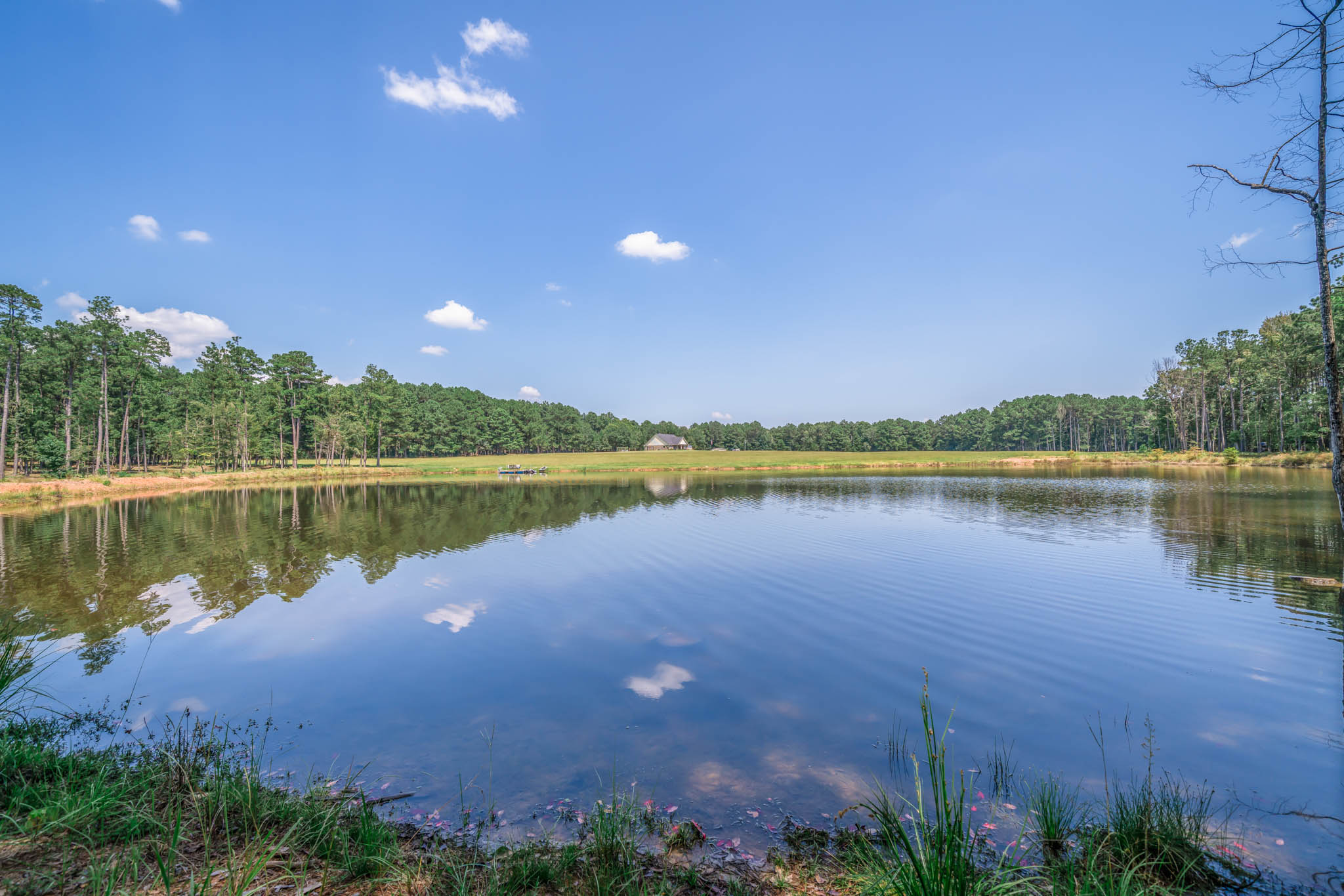 Fort Piney Woods