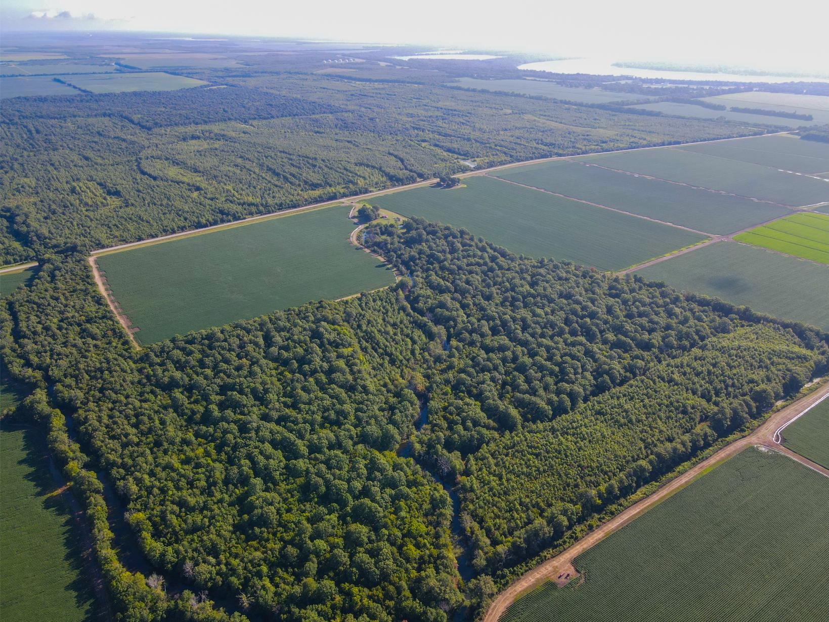 500 +/- Acres Precision Leveled and Irrigated Farmland
