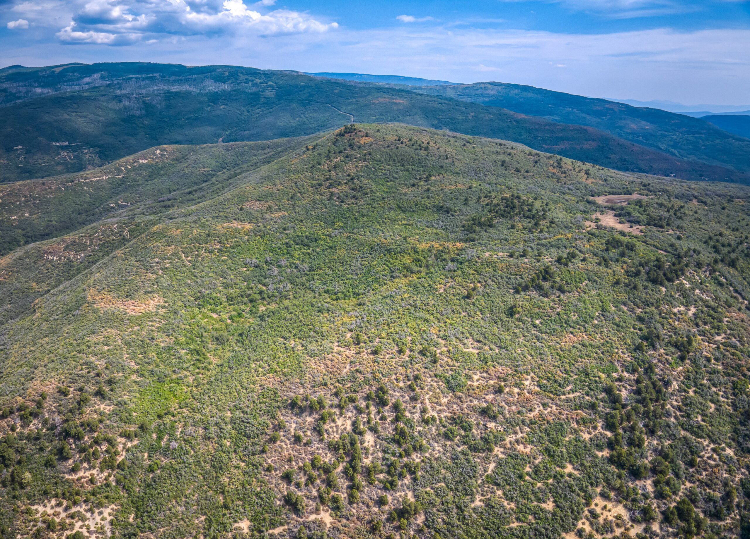Whiskey Jug Ranch 465 Acre CO Hunting And Recreation Property With Cabin