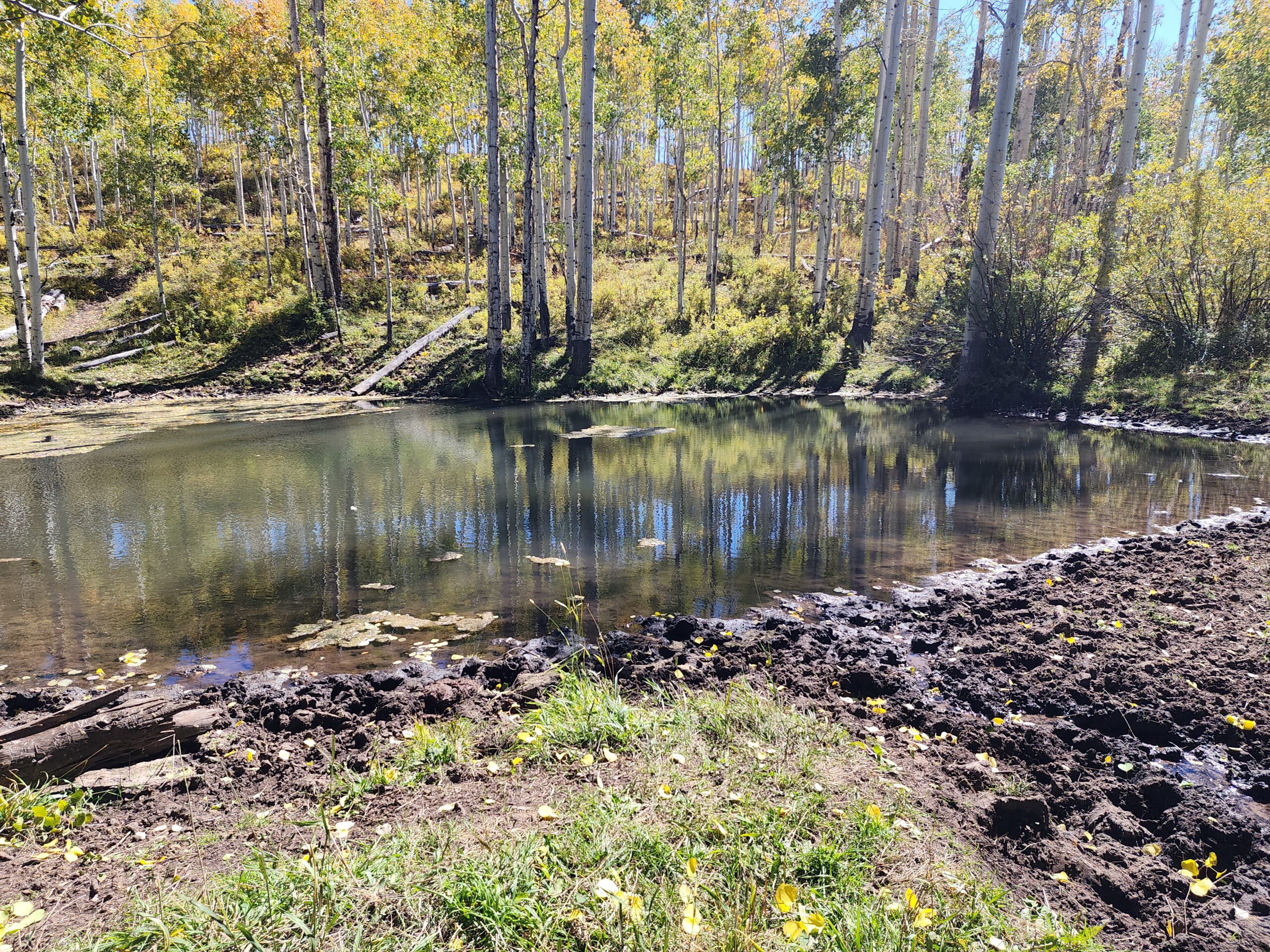 Western Colorado Ranch with Cabins, Ponds, Springs For Sale