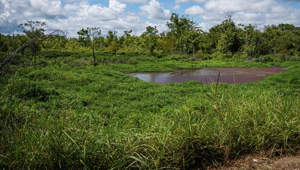 Tchula MS Delta 97 Acres